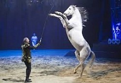 CAVALERIE