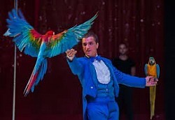 LES PERROQUETS 🦜