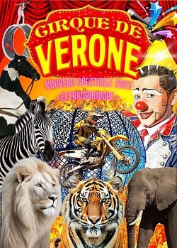 🎪